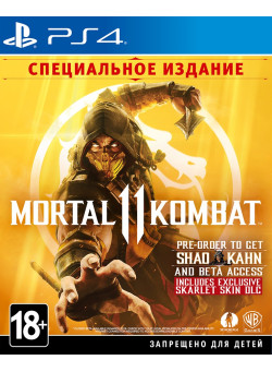 Mortal Kombat 11 (XI) Специальное Издание (PS4)